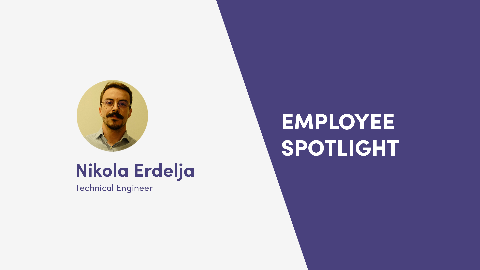 Employee Profile Nikola Erdelja